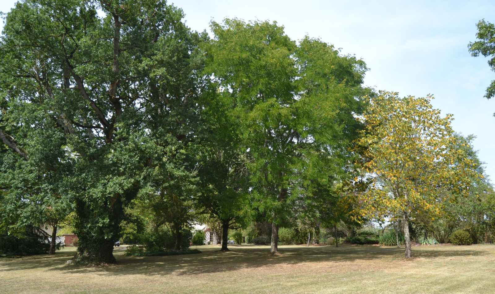 terresdegrosbostParc 1
